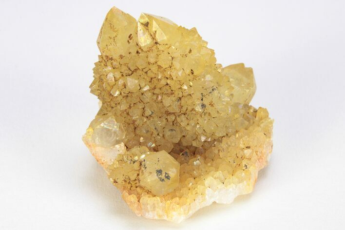 Sunshine Cactus Quartz Crystal Cluster - South Africa #212631
